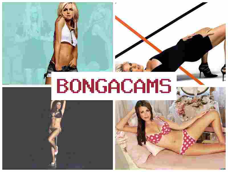 БОНГА ККМС 👧 porn sites