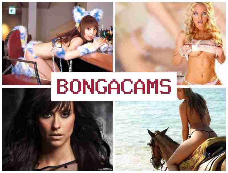 БОНГВКАМС 📺 4 porn