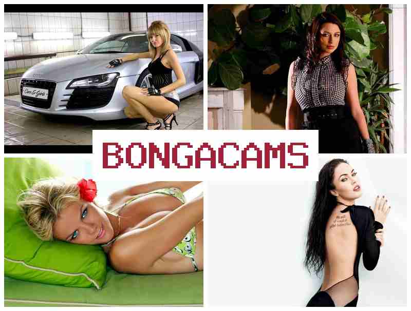 БОНГА5АМС 🌟 porn tope