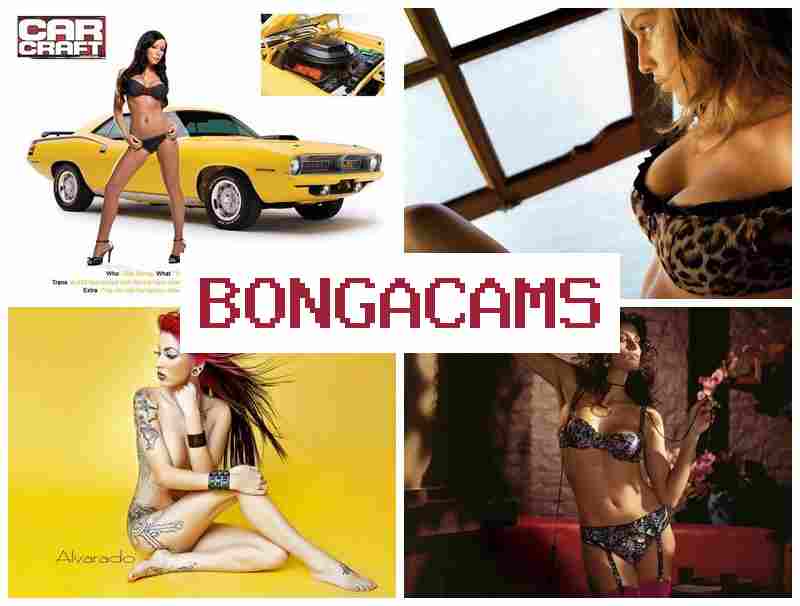 БОНГАКЕМС 🎥 bondage porn