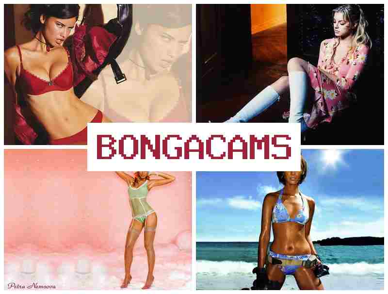 ONGACAMS 💑 gay porn twink