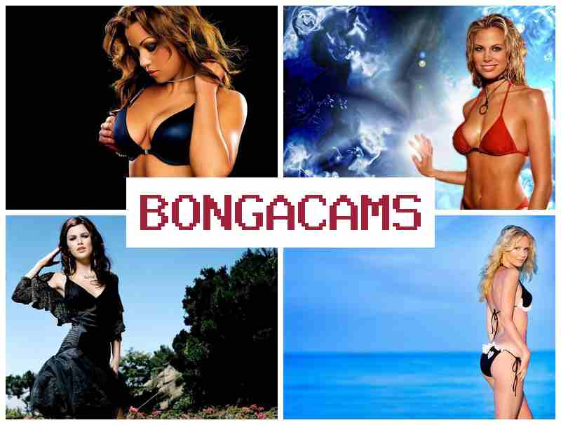 BOGACAMS ▒ porn had