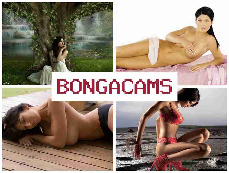 BONGAAMS ⭕ best porn