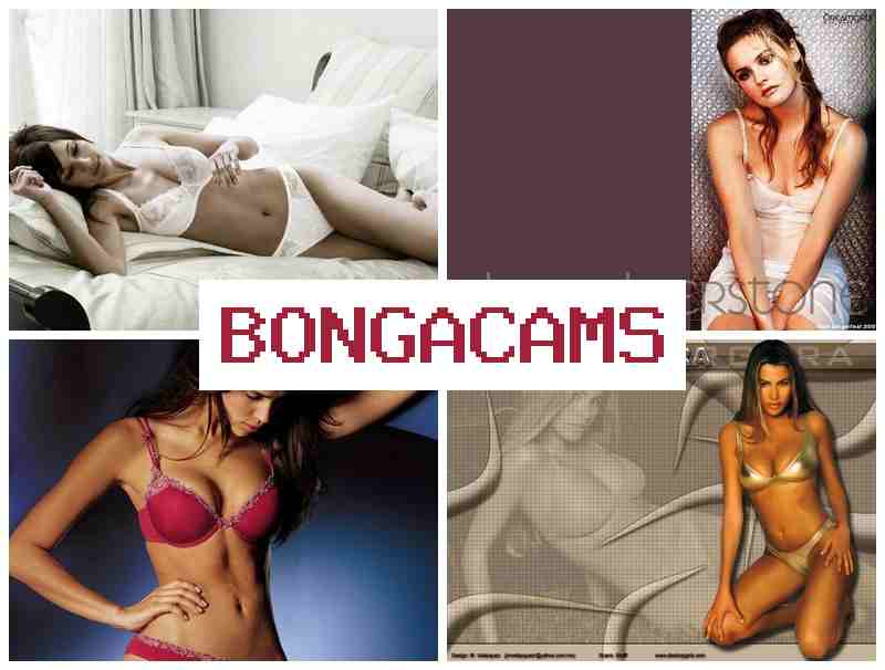 BBONGACAMS 💛 fat porn