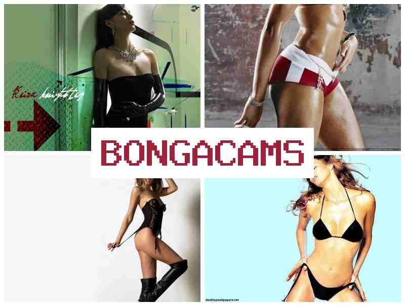 BONGGACAMS 🔔 femboy porn