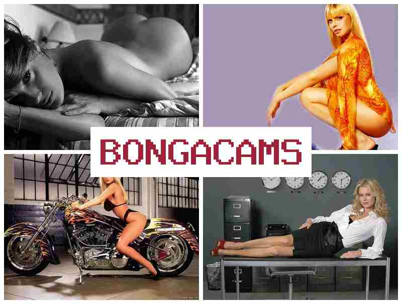 BONGAACAMS 🔶 porn sex big ass