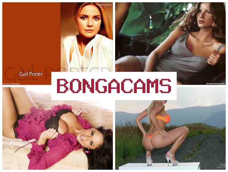 BONGACCAMS 💻 lesbi porn
