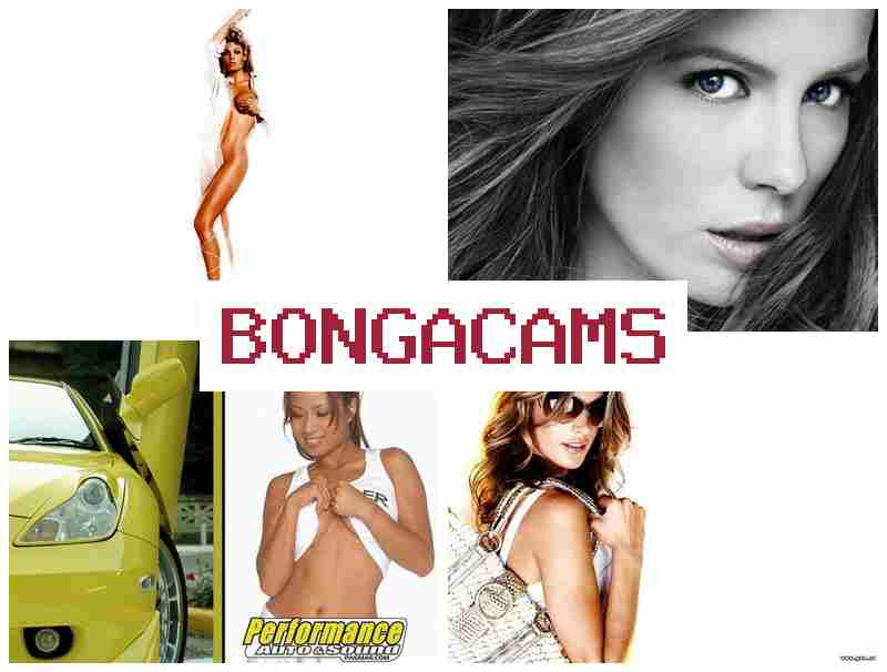 BOGNACAMS 🔵 porn NL