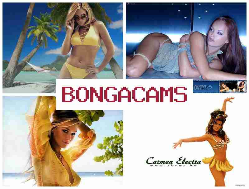 BONGACMAS 💑 breast porn