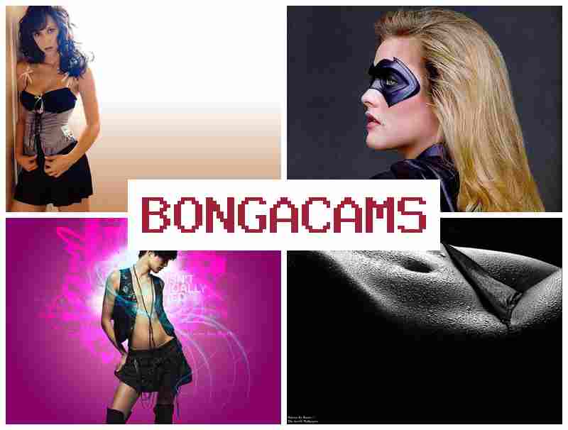 BINGACAMS 🆒 your porn