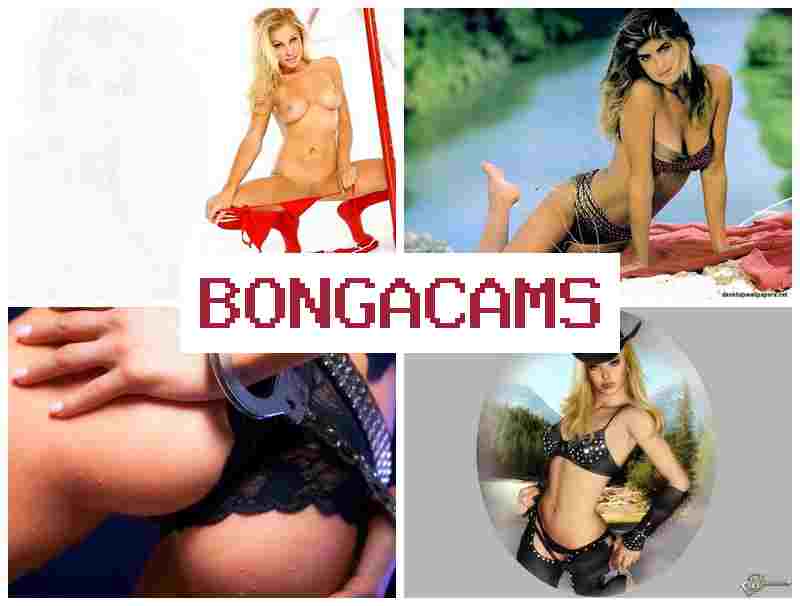 BPNGACAMS 🆒 topping porn