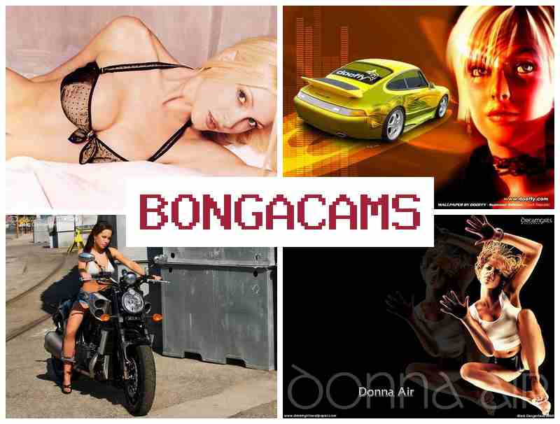 BKNGACAMS 💋 trans porn