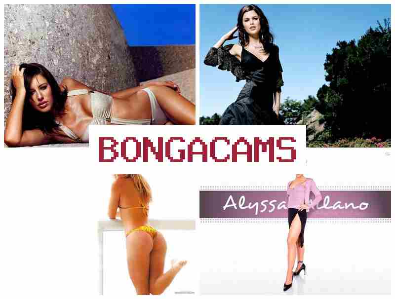 BOJGACAMS 💻 porn cast