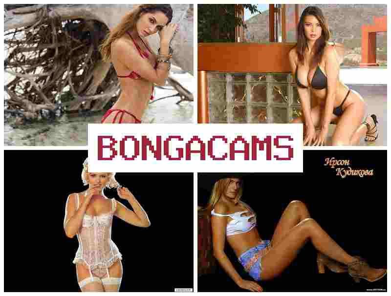 BONFACAMS 🎇 white porn