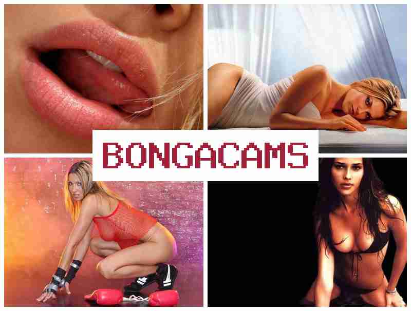 BONTACAMS 😍 furry gay porn