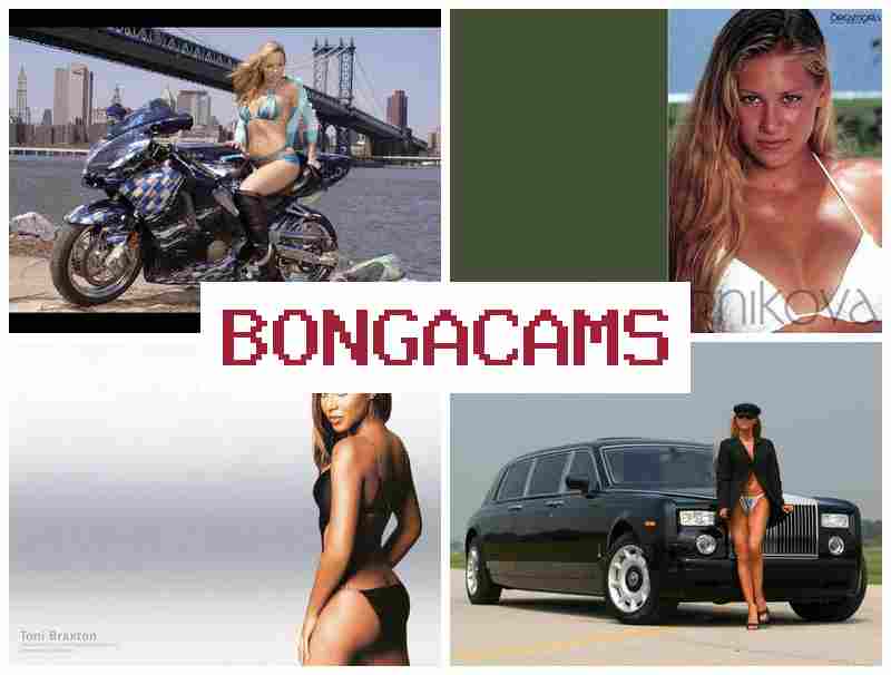 BONVACAMS 🎇 new porn