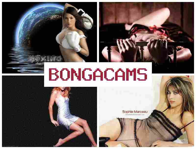 BONGWCAMS 💜 fell porn