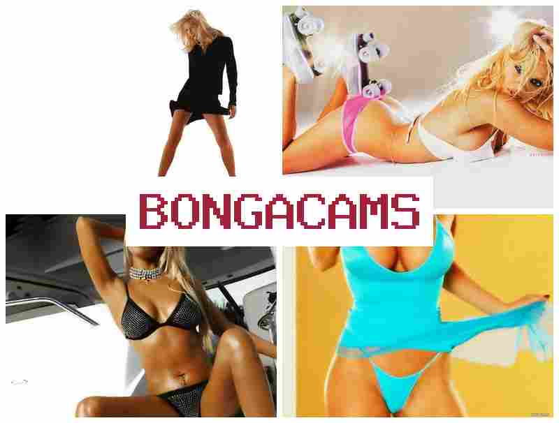 BONGSCAMS ▓ go porn