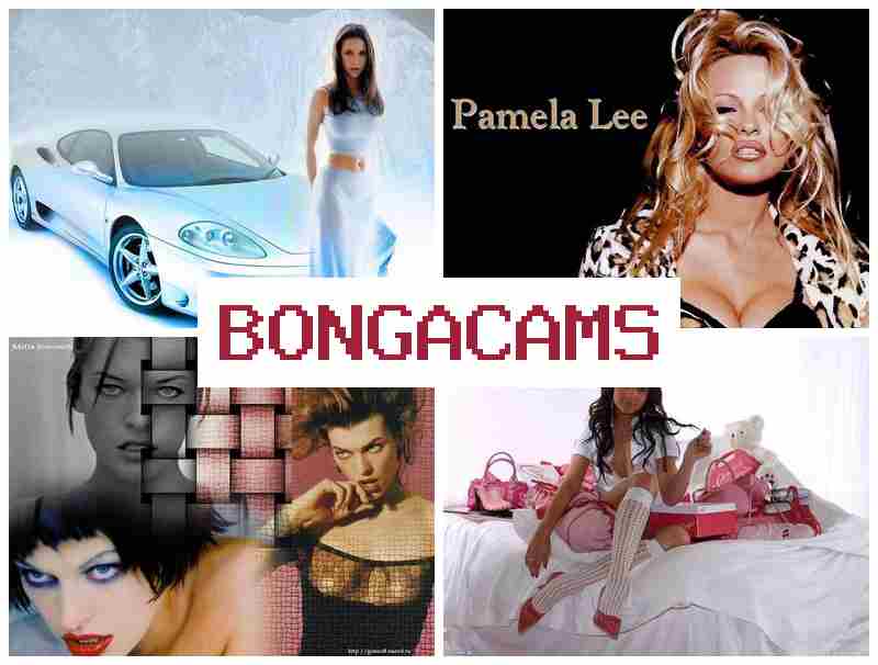 BONGAXAMS 🔴 porn site's