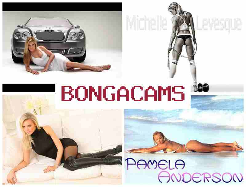 BONGADAMS 👩 fuck porn sex