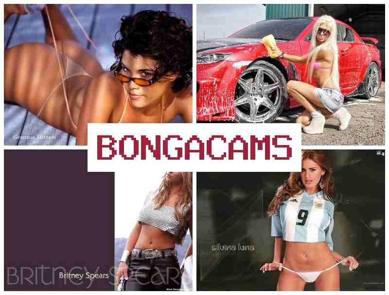 BONGAFAMS ▓ bunny porn