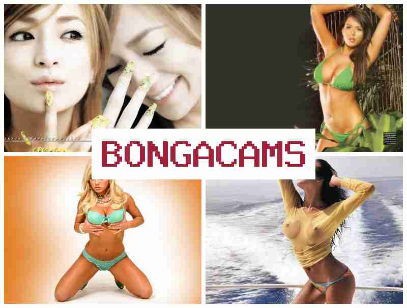 BONGAVAMS 🆓 porn tits blowjob
