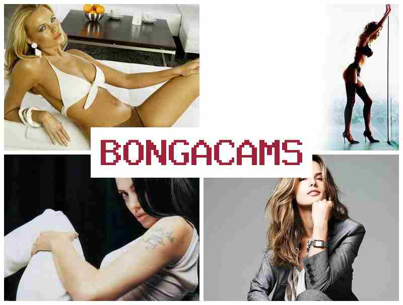 BONGACQMS 💚 anal porn videos
