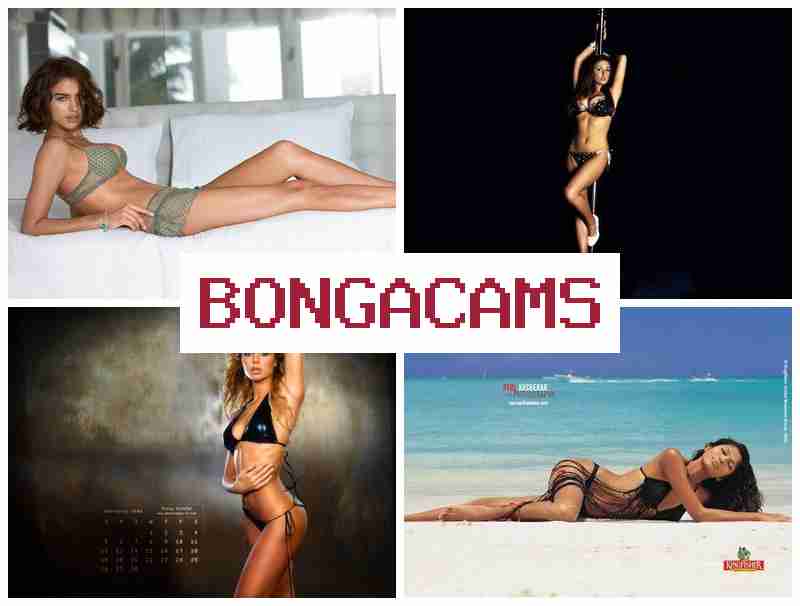 BONGACSMS 🔵 love porn