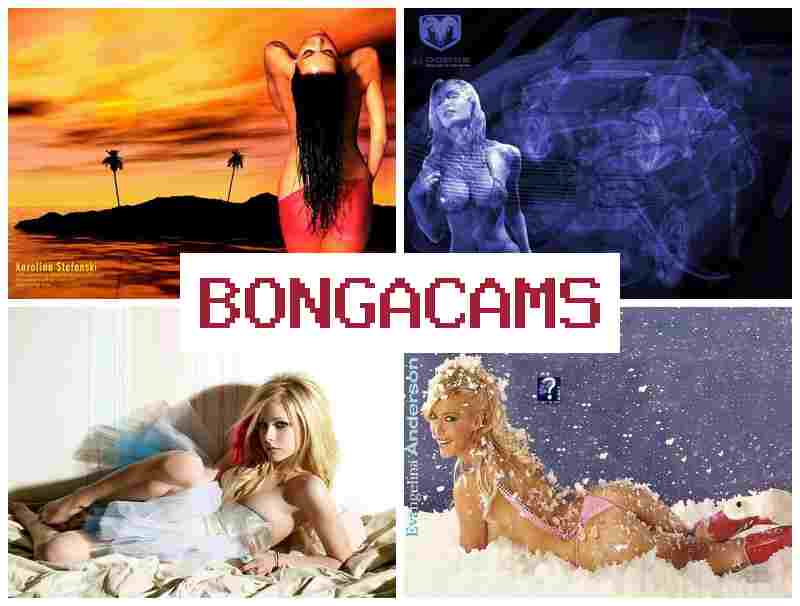 BONGACZMS 💕 sex 18+ porn