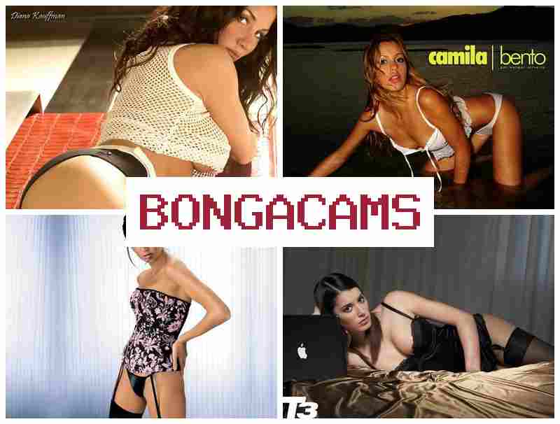 BONGACAMA 💕 ass porn