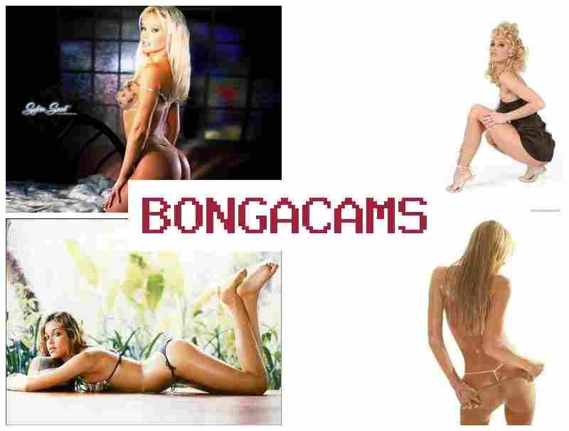BONGACAME 💯 adult porn