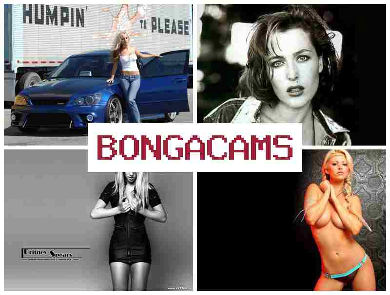 BONGACAMD ▓ porn photo