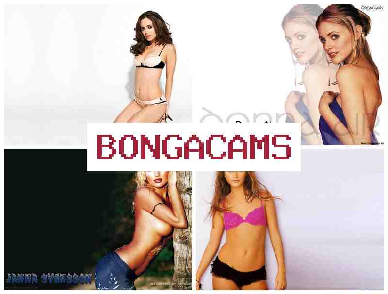 БОНГП КАМС 🌟 porn chat