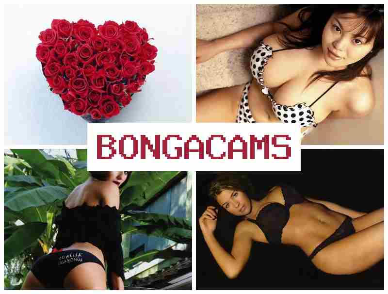 BONGA CAMS 👩 hijab porn
