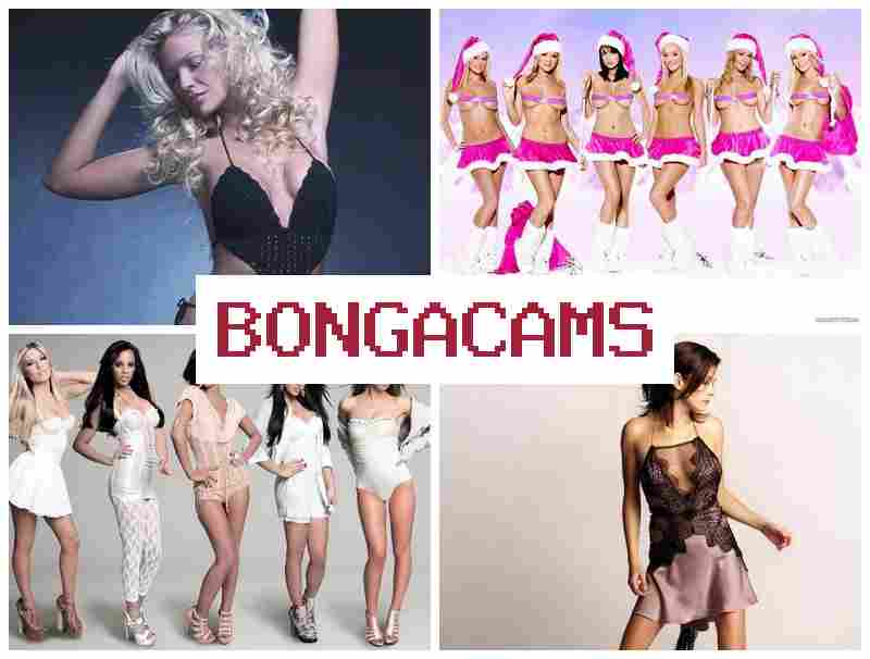 BONGS CAM 💏 porn ones
