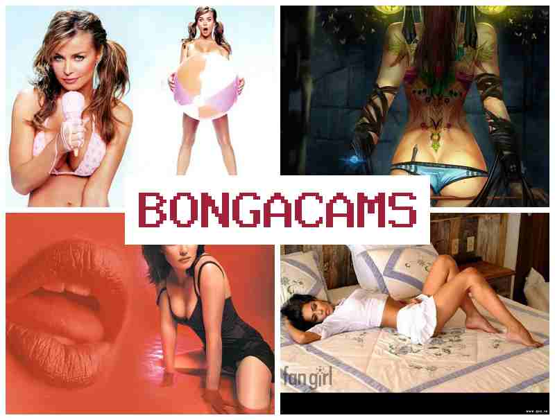 ББОНГАКАМС 🔻 video porn big