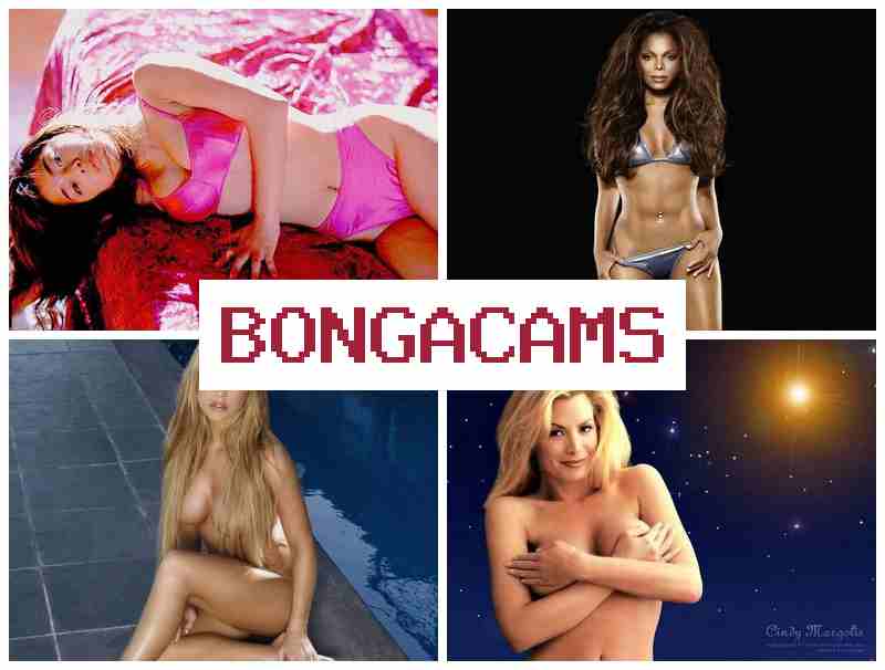 ДОНГАКАМС 🔴 porn ones